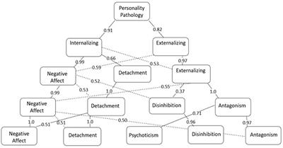 Psychometric study of the brazilian version of the personality inventory for DSM-5–paper-and-pencil version